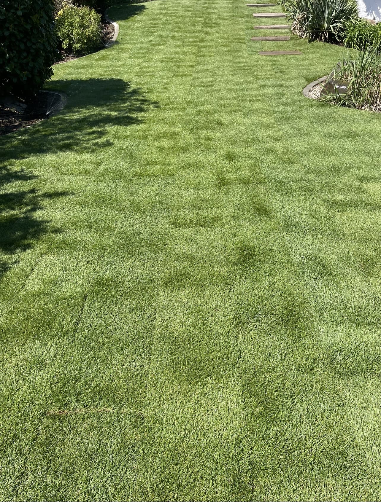 Sauber gepflegter Rasen